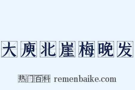 大庾北崖梅晚发是什么意思的图片